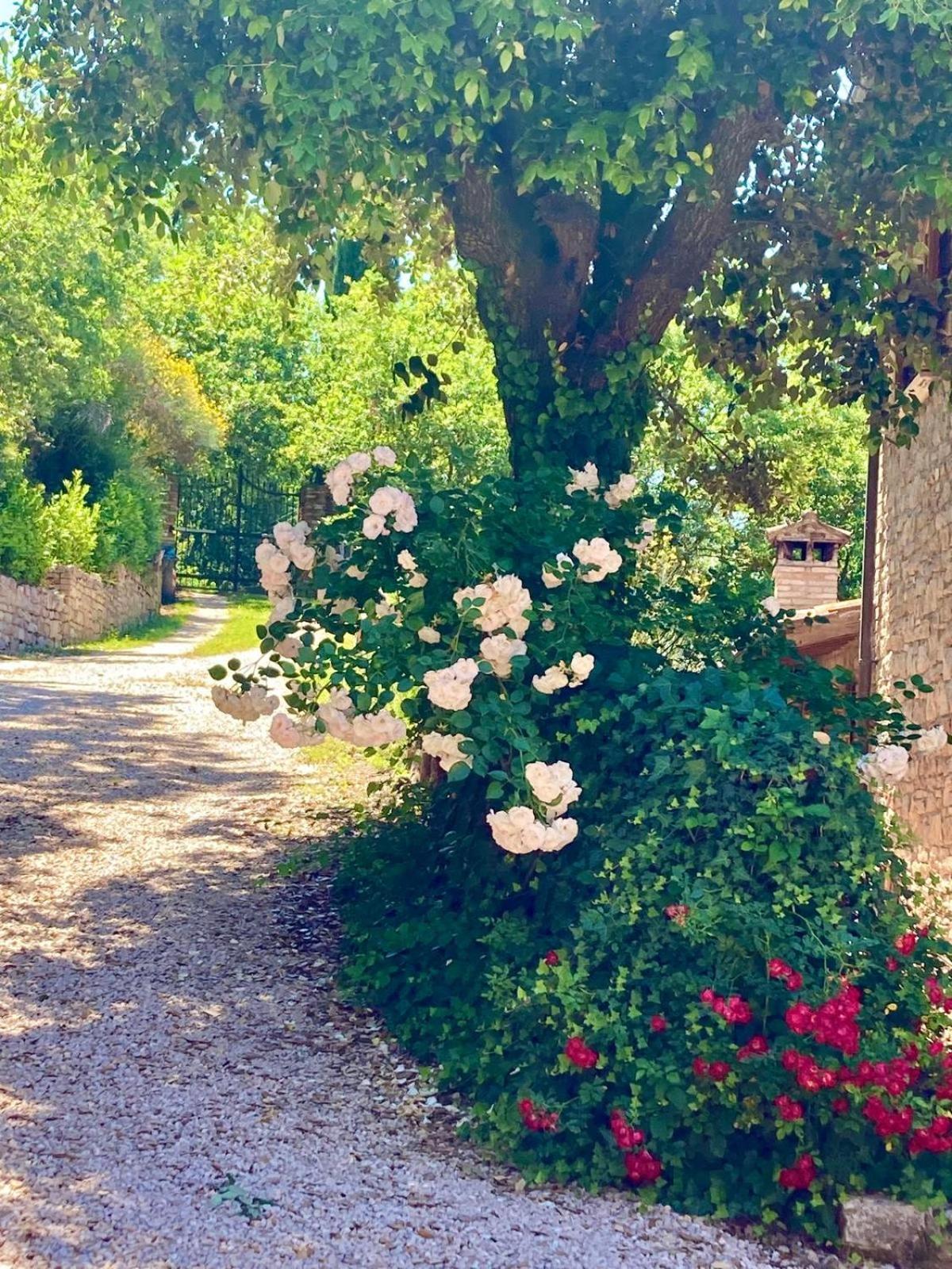 Le Gorghe Di Valmarino Casa de Férias Corciano